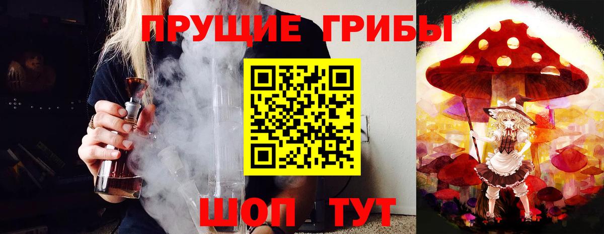 Галлюциногенные грибы Cubensis  Вход с VPN  Норильск 