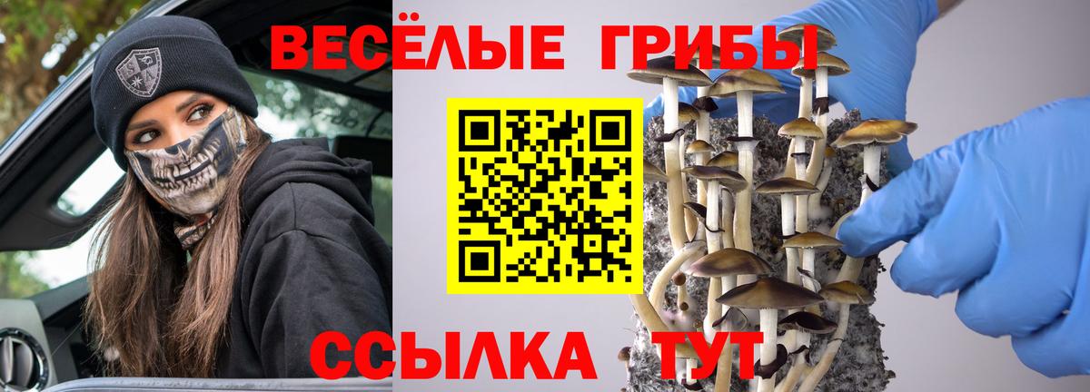 Псилоцибиновые грибы прущие грибы Норильск